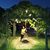 Melanie Balaguer Patricio's profile image