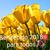 Maria Mayoral's profile image