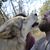 Joshua Provencher's profile image
