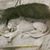 Dick Slattery's profile image