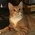 Connie Donnelly's profile image