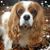 Alice R Victorino's profile image