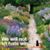 Lynne Usack Larson's profile image