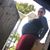 Paredes Leo's profile image