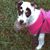 Teri Quam's profile image