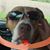Renae J. Nickel E's profile image