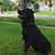 Bonnie Adkins LoGiudice's profile image