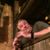 Kurt Muenchow's profile image