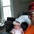 Carol Wampler's profile image