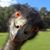 Mike Wood's profile image