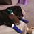 Candy Hoaglund's profile image