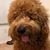 Jose Luis Calderon's profile image