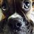 Tammy Pillo's profile image