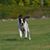 Geoffry Alster's profile image