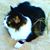 Vicky Denman's profile image