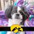 Lori Brecht's profile image