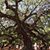 Cathey Chapman Crosland's profile image