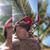 Leonel Barcenas's profile image