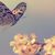 Wendi Bradley Walters's profile image