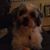 Nuno Paiva's profile image