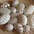 Carolyn Bird-Johnson's profile image