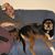 Jay Clawson's profile image
