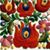 Judy Noe's profile image
