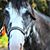 Paula Jean Clark's profile image