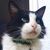 Gladys Clavijo Luna's profile image