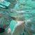 Julie Schally's profile image
