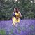 Duang Chuchit's profile image