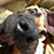 Brian Cranny's profile image
