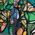 Renea Seldon Burkholder's profile image