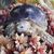 Kristen Coe's profile image