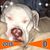 John Topping's profile image