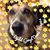 Cathy Everetts's profile image