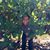 Ty Richchouyrod's profile image
