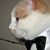 Henry Cat's profile image