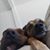 Sarah Herforth's profile image