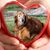 Dani Baxter's profile image