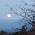 Debbie McEldowney's profile image