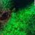 David Kirkpatrick's profile image