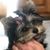 Jamie Johnson's profile image