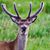 Cheron Dudley's profile image