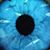 Rodolfo Antonio Borregas's profile image