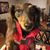 Carla Gay Murphy's profile image