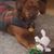 Kathy Boehm Kim's profile image