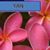 Yan Hunte's profile image