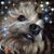 Joanne Baisley's profile image
