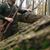 Michael Paulin's profile image